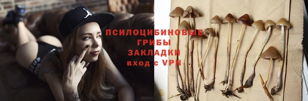 ECSTASY Лиски