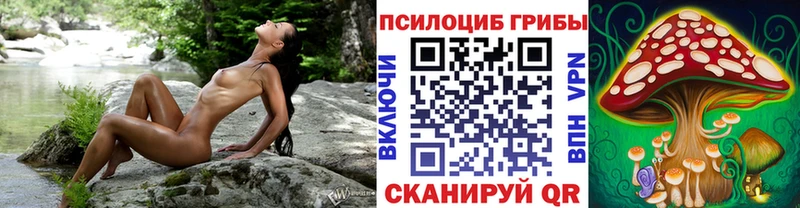 как найти закладки площадка формула Галлюциногенные грибы Magic Shrooms Липки